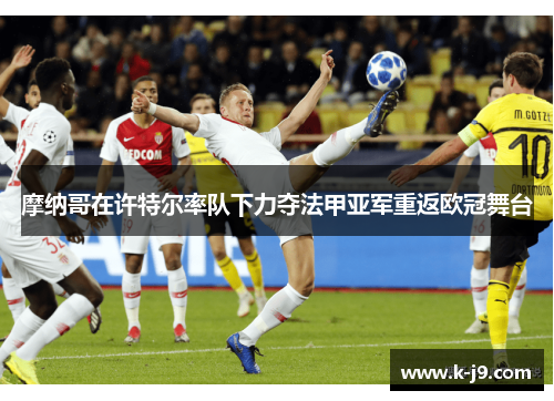 摩纳哥在许特尔率队下力夺法甲亚军重返欧冠舞台 摩纳哥在许特尔率队下力夺法甲亚军重返欧冠舞台